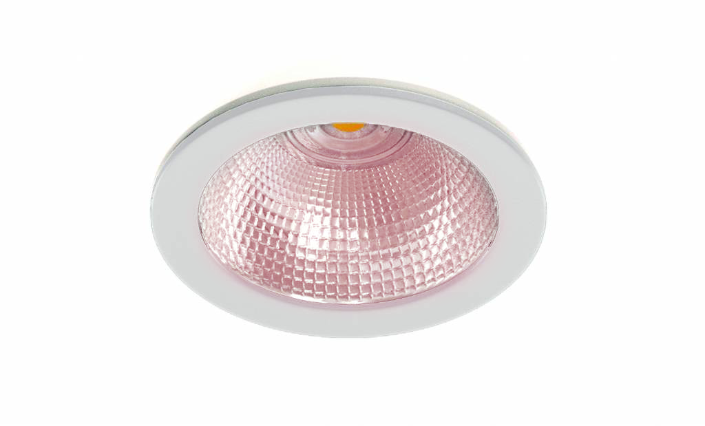downlight 130 iluminacion para alimentacion mariscos