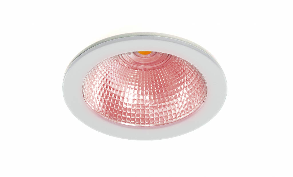 downlight 130 iluminacion para alimentacion carne roja